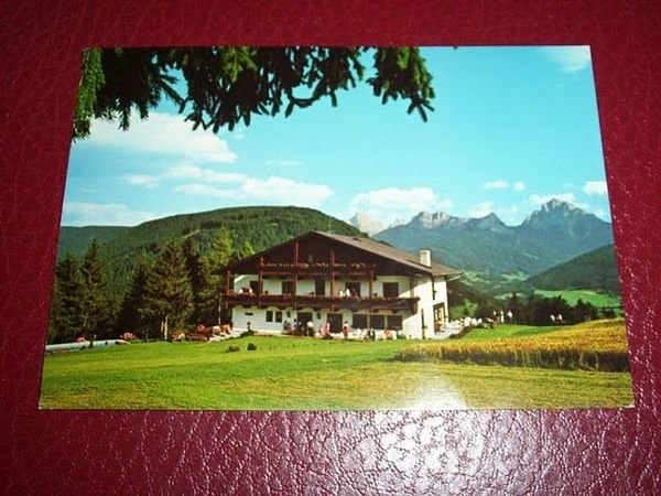 Cartolina Taisten Welsberg - Hotel Alpenhof 1960 ca