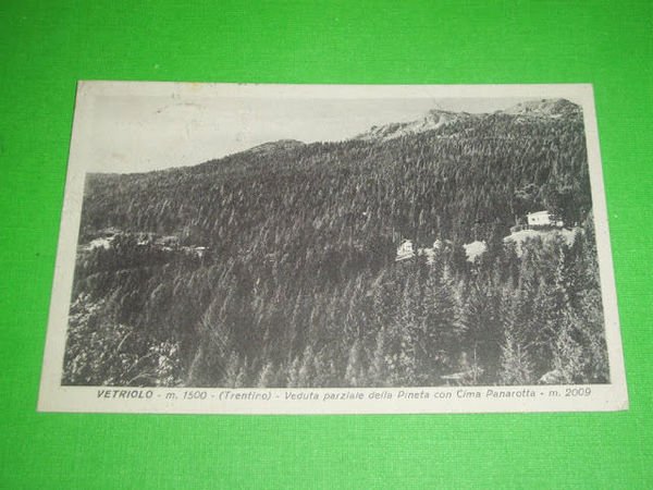 Cartolina Vetriolo - Veduta parziale della Pineta 1942