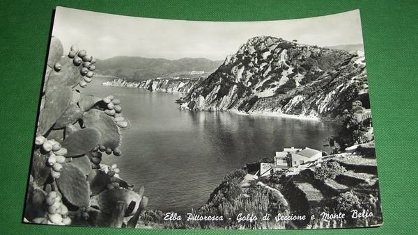 Cartolina Elba Pittoresca - Golfo di Seccione e Monte Bello …