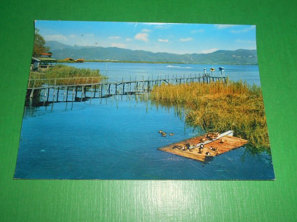 Cartolina Torre del Lago Puccini - Angolo di pace 1965 …