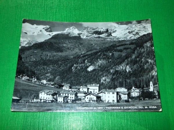 Cartolina Champoluc - Panorama e Ghiacciai del M. Rosa 1955 | Immagine principale