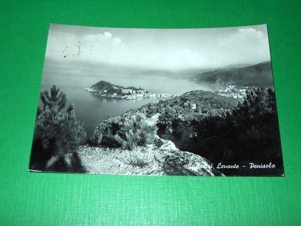 Cartolina Sestri Levante - Penisola 1957