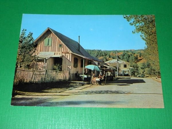 Cartolina La Sila - Muccone - Viale 1960 ca