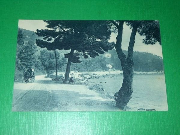 Cartolina Strada S. Margherita Ligure - Portofino 1920 ca