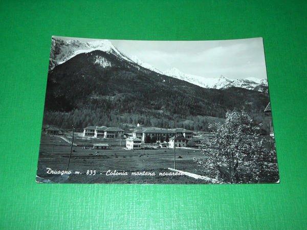 Cartolina Druogno - Colonia montana novarese 1955