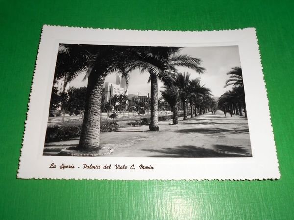 Cartolina La Spezia - Palmizi del Viale C. Morin 1950 …