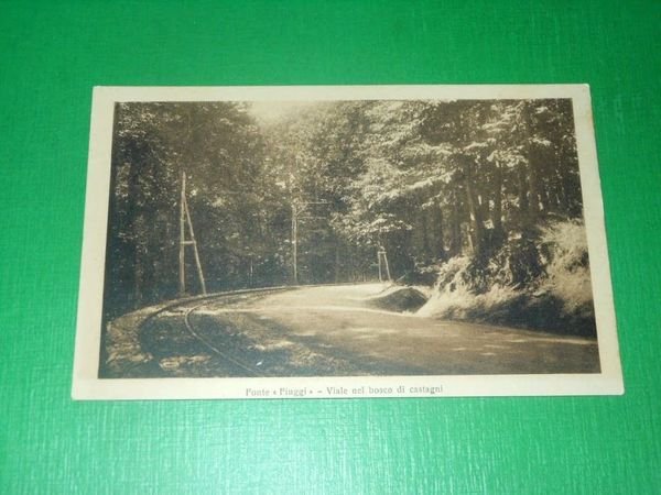 Cartolina Fonte Fiuggi - Viale nel bosco di castagni 1930 …