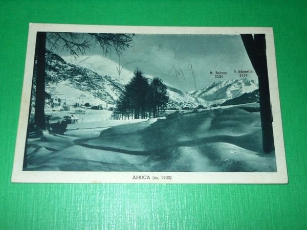 Cartolina Aprica ( Sondrio ) - Veduta 1946