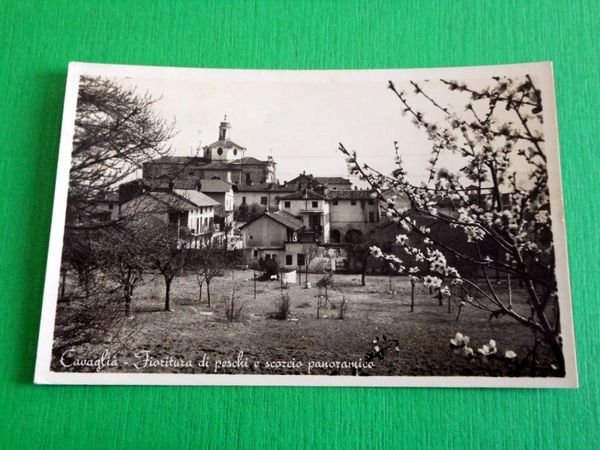 Cartolina Cavaglià ( Biella ) - Scorcio panoramico 1949