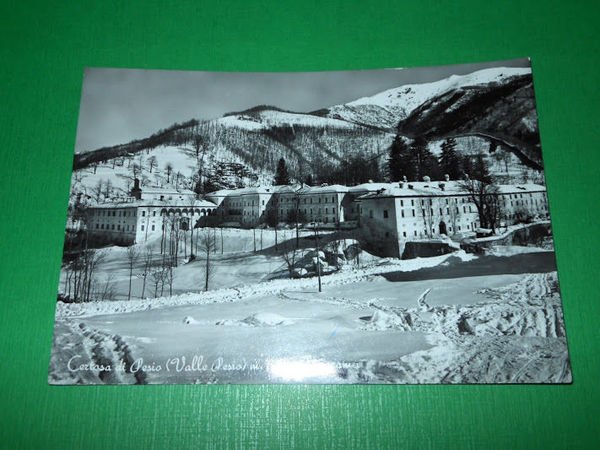 Cartolina Certosa di Pesio ( Cuneo ) - Panorama 1958