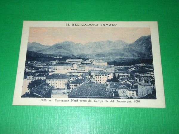 Cartolina Il bel Cadore invaso - Belluno - Panorama Nord …