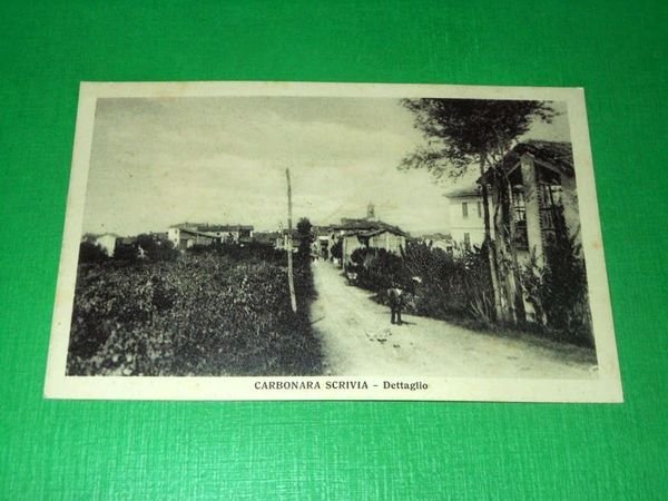 Cartolina Carbonara Scrivia - Dettaglio 1930 ca
