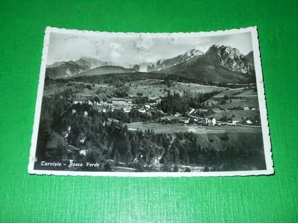 Cartolina Tarvisio - Bosco Verde 1957