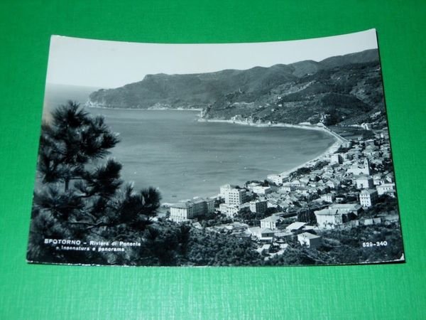 Cartolina Spotorno - Insenatura e panorama 1959