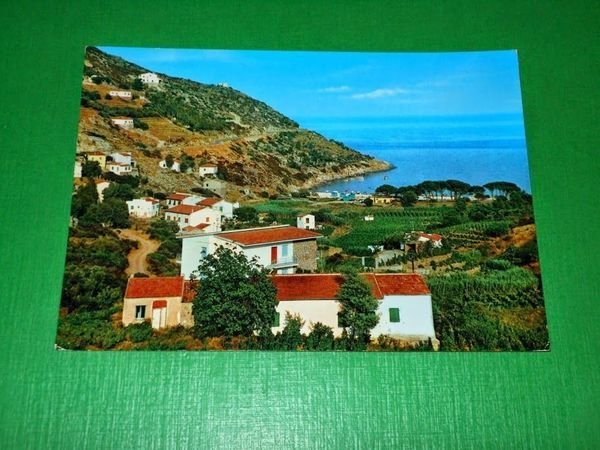 Cartolina Isola d' Elba - Marina di Campo - Fetovaia …