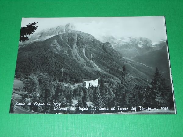 Cartolina Ponte di Legno - Colonia dei Vigili del Fuoco …