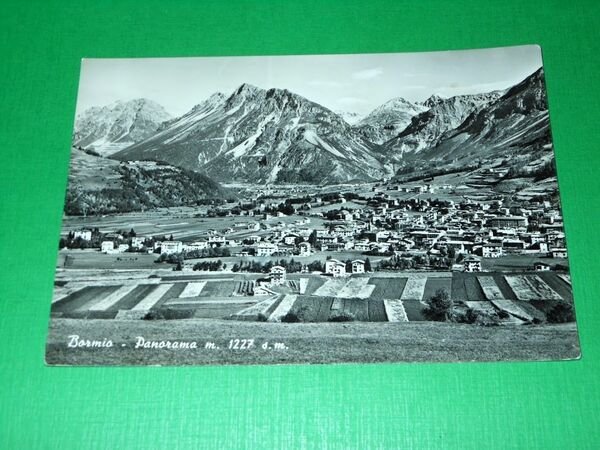 Cartolina Bormio - Panorama 1958