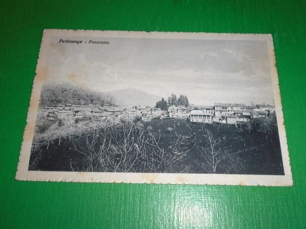 Cartolina Pettinengo - Panorama 1923