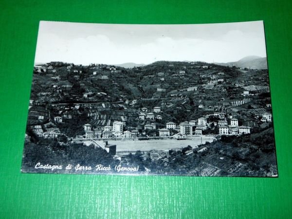 Cartolina Castagna di Serra Riccò ( Genova ) - Panorama …
