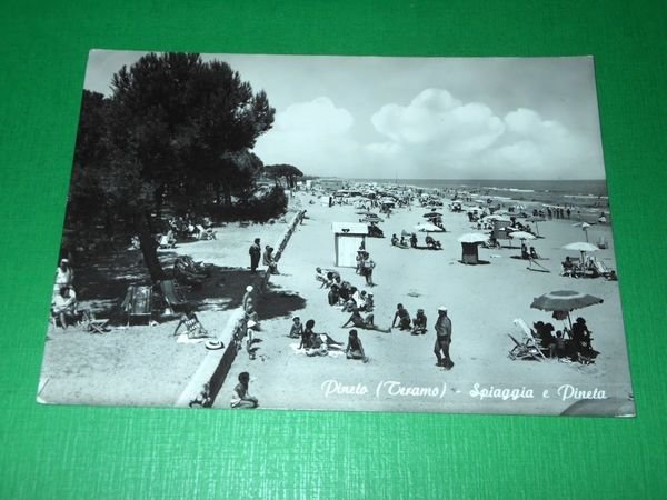 Cartolina Pineto ( Teramo ) - Spiaggia e Pineta 1964