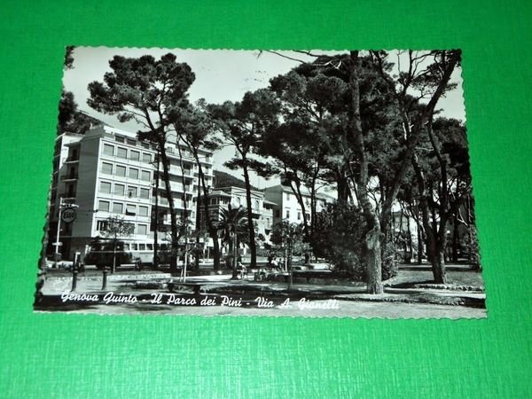 Cartolina Genova Quinto - Il Parco dei Pini - Via …
