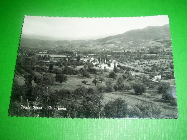 Cartolina Ponte Nizza - Panorama 1955