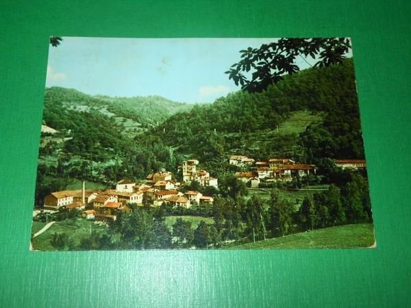 Cartolina Moline ( Cuneo ) - Panorama 1974