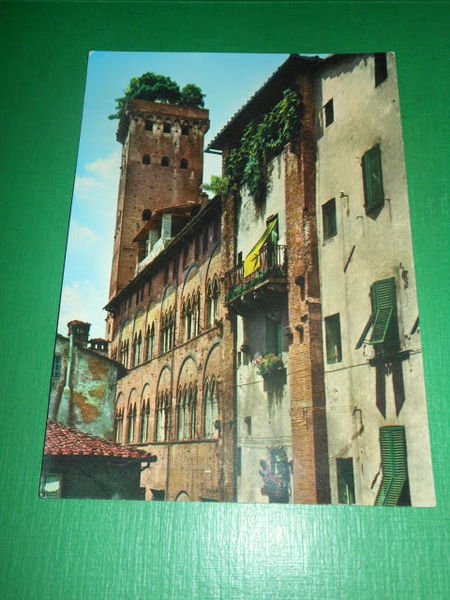 Cartolina Lucca - Torre Guinigi 1960 ca | Immagine principale