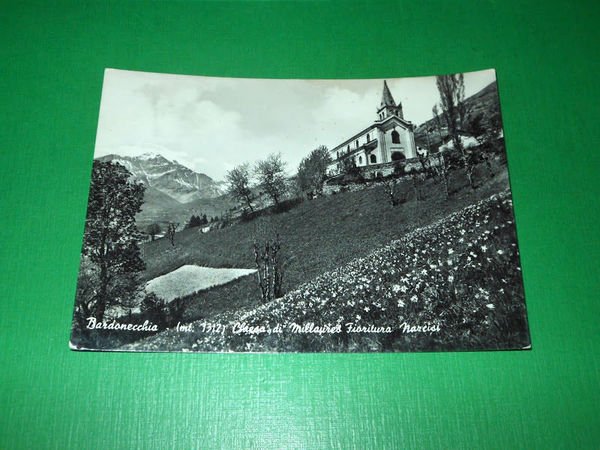 Cartolina Bardonecchia - Chiesa di Millayres - Fioritura narcisi 1950 …