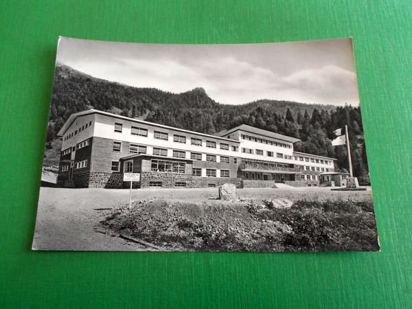 Cartolina Opera Diocesana Assistenza Gorizia - Colonia Alpina di Forni …