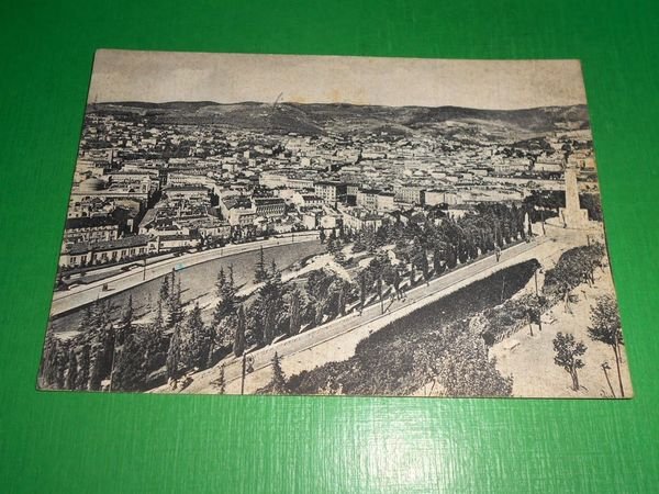 Cartolina Trieste - Panorama dal Parco della Rimembranza 1955