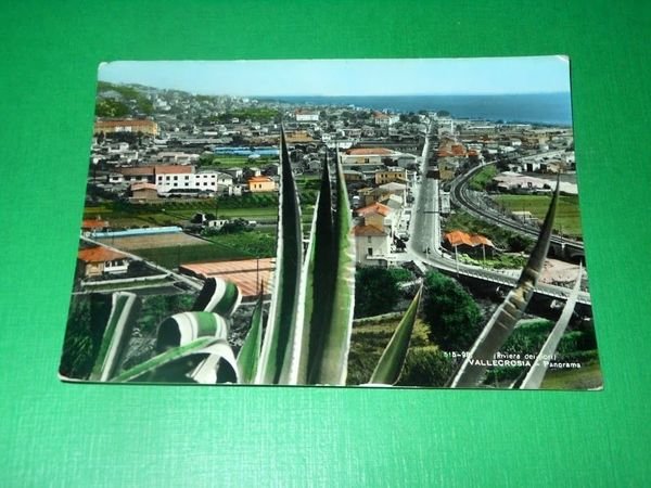Cartolina Vallecrosia - Panorama 1957