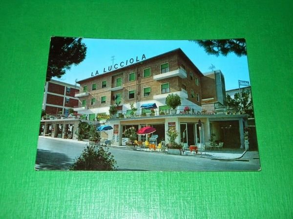 Cartolina Chianciano Terme - Albergo La Lucciola 1964