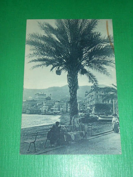 Cartolina S. Margherita Ligure - Palme 1923