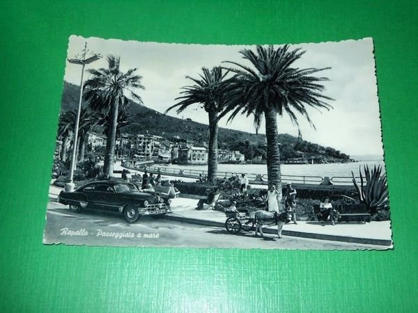Cartolina Rapallo - Passeggiata a mare -- 1958