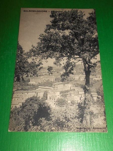 Cartolina Salsomaggiore - Panorama 1920 ca