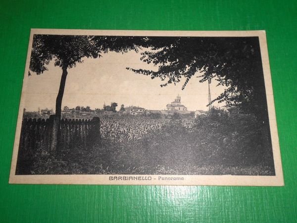 Cartolina Barbianello - Panorama 1930 ca