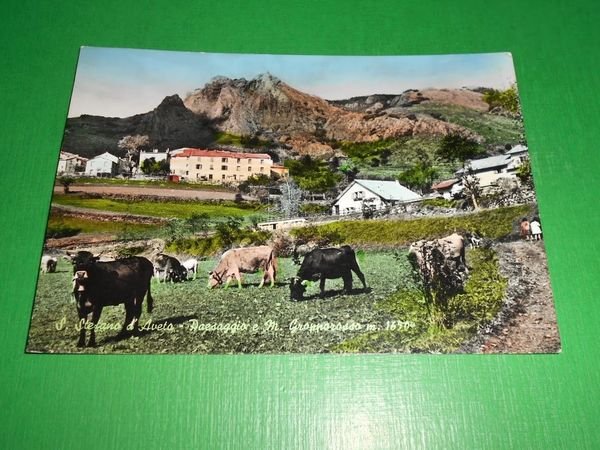 Cartolina S. Stefano d' Aveto - Paesaggio e M. Groppo …