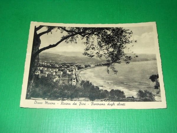 Cartolina Diano Marina - Panorama dagli oliveti 1951