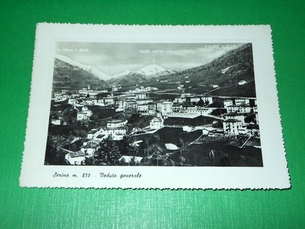 Cartolina Serina - Veduta generale 1950