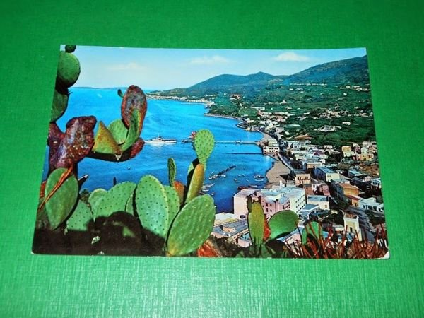 Cartolina Lacco Ameno - Panorama da Monte Vico 1961