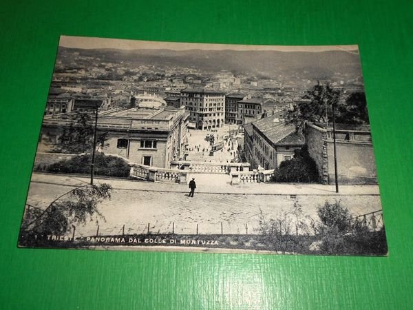 Cartolina Trieste - Panorama dal Colle di Montuzza 1955