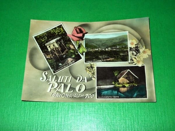Cartolina Saluti da Palo ( Savona ) - Vedute diverse …