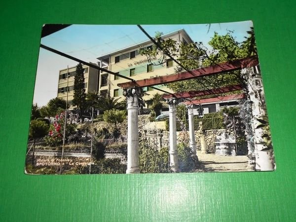 Cartolina Spotorno - La Conchiglia 1961