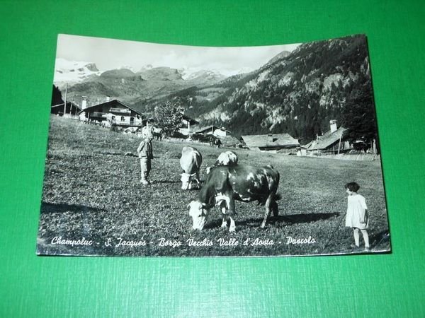 Cartolina Champoluc - S. Jacques - Borgo Vecchio Valle d'Aosta … | Immagine principale