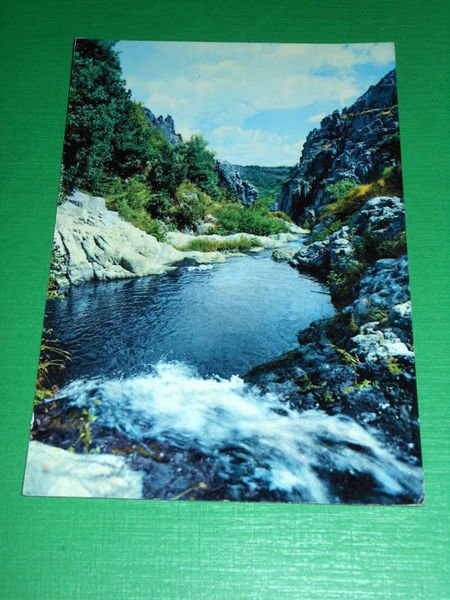 Cartolina Santu Lussurgiu - Valle dei Mulini 1965