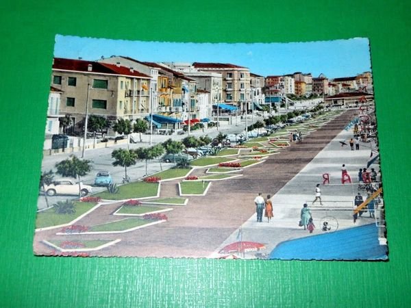 Cartolina Lido di Camaiore - Viali Lungomare 1960