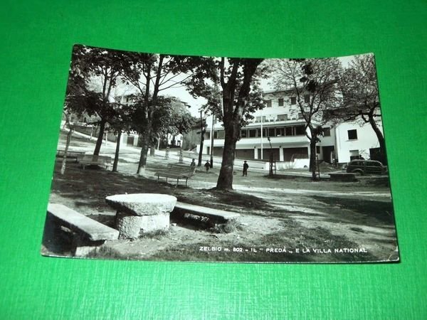 Cartolina Zelbio - Il Predà e la Villa National 1955 … | Immagine principale