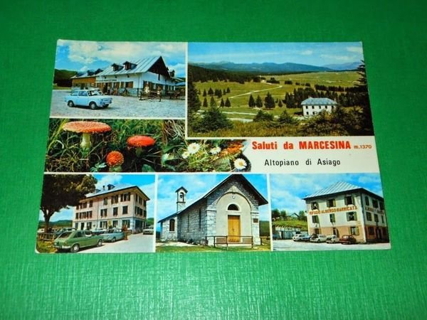 Cartolina Saluti da Marcesina - Altopiano di Asiago - Vedute …