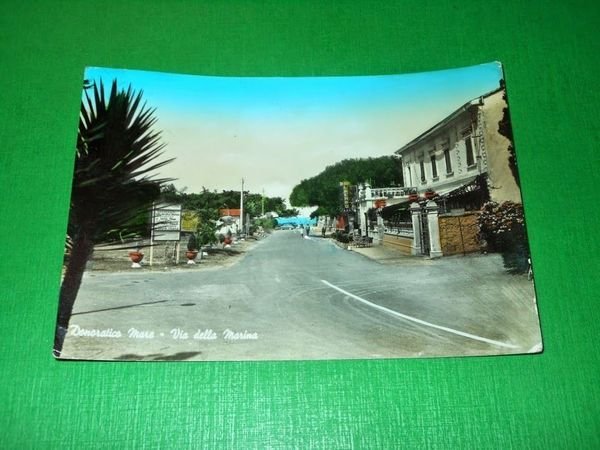 Cartolina Donoratico Mare - Via della Marina 1962 | Immagine principale